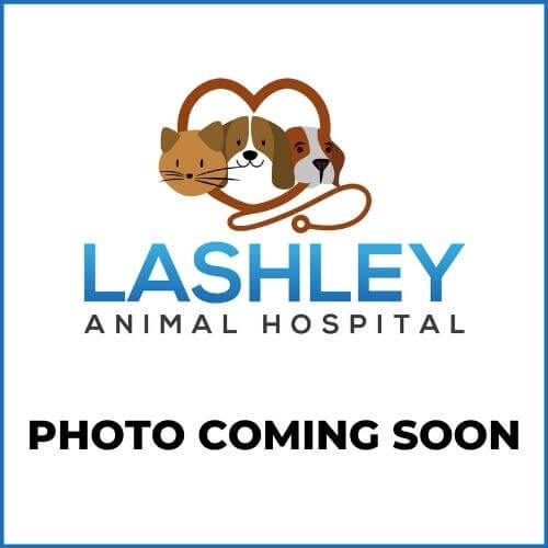 Lashely Animal Hospital - Coming Soon Placeholder Image